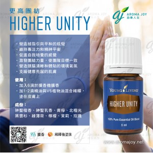 Higher Unity 同心